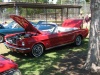 Car Thumbnail