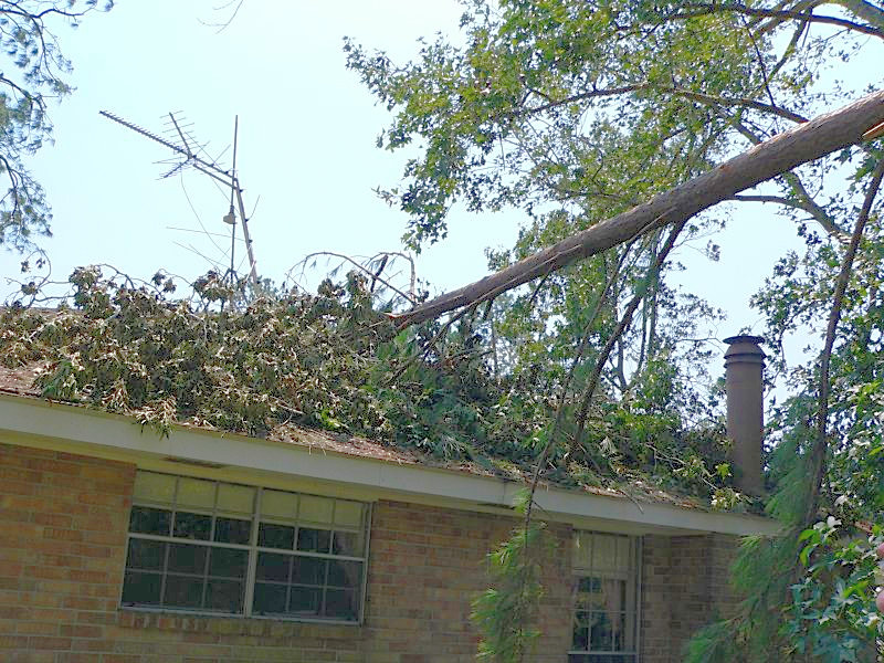 Tree down on the roof